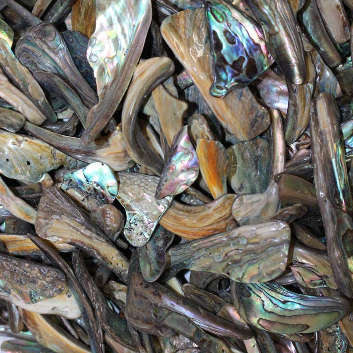 Jantes en ormeau Paua pour la vente par Craftstones