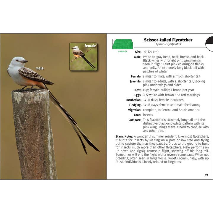 AdventureKEEN - Wholesale Book - Adult - Birds of Kansas Field Guide 2e