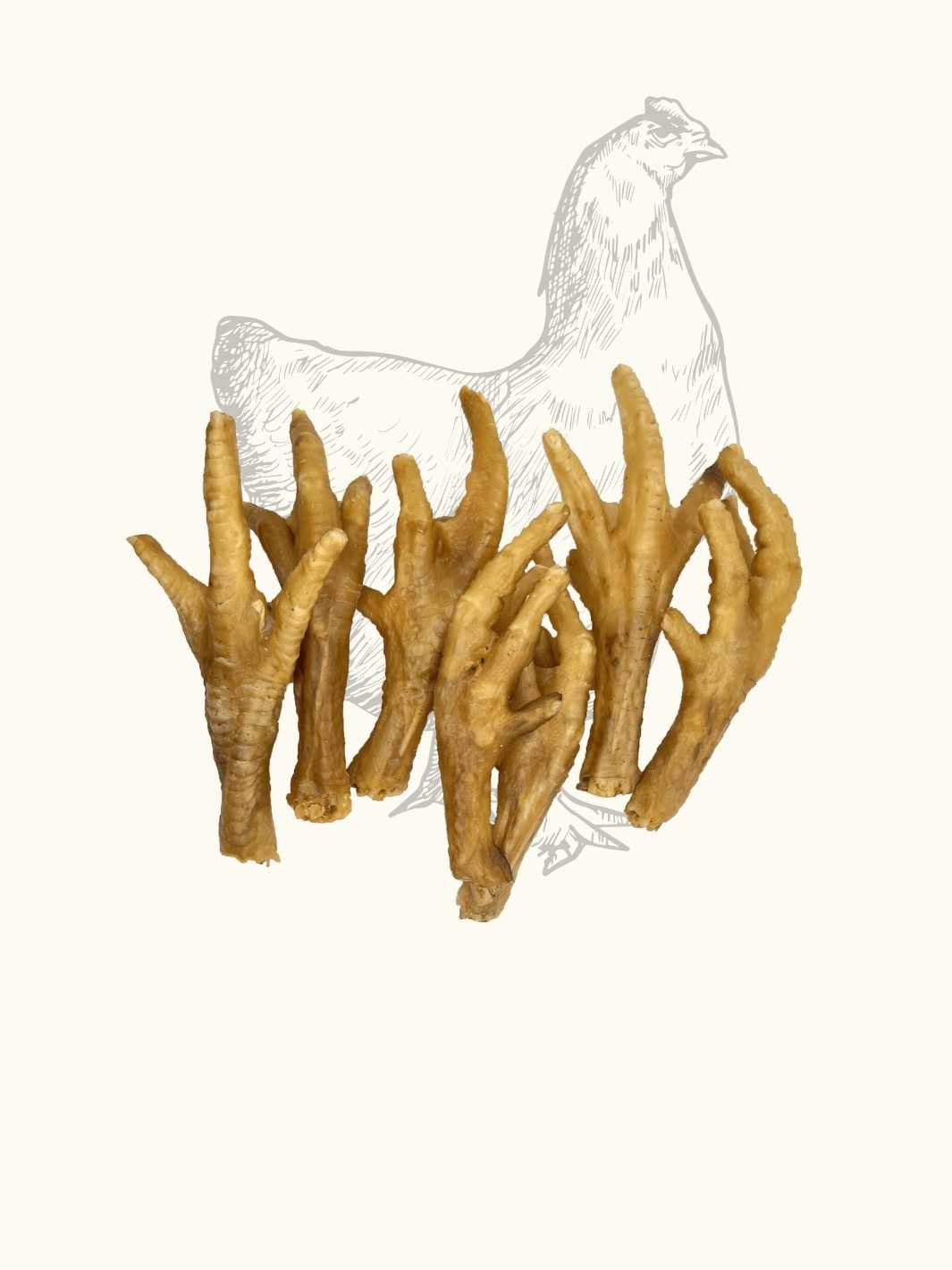 Truffe Délice - Wholesale Pet Treats - Dog - Dried chicken feet2