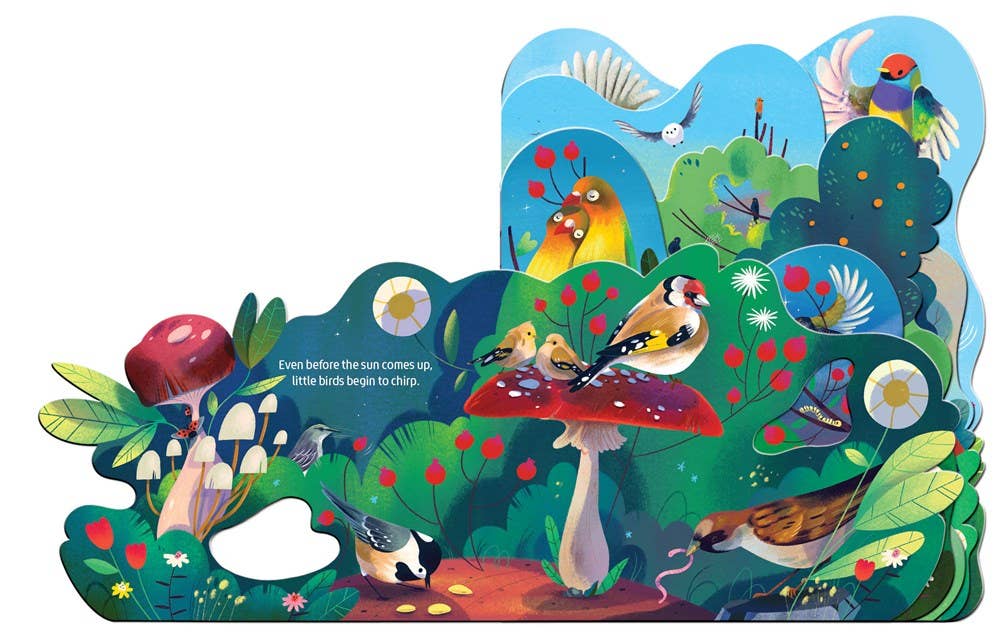 Gibbs Smith - Wholesale Baby & Toddler Book (0-2) - Birdsong1