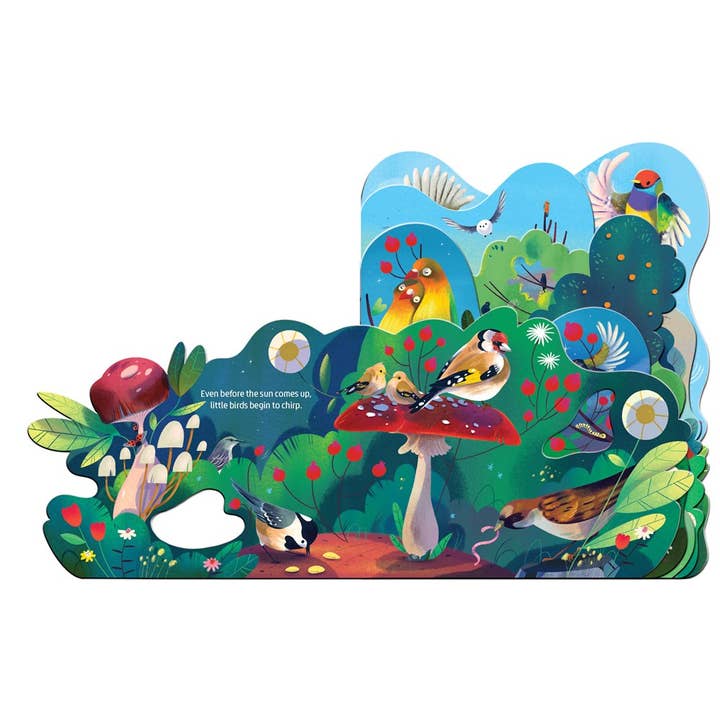 Gibbs Smith - Vente Livre pour bébés et tout-petits (jusqu'à 2 ans) - Chant d'oiseau1