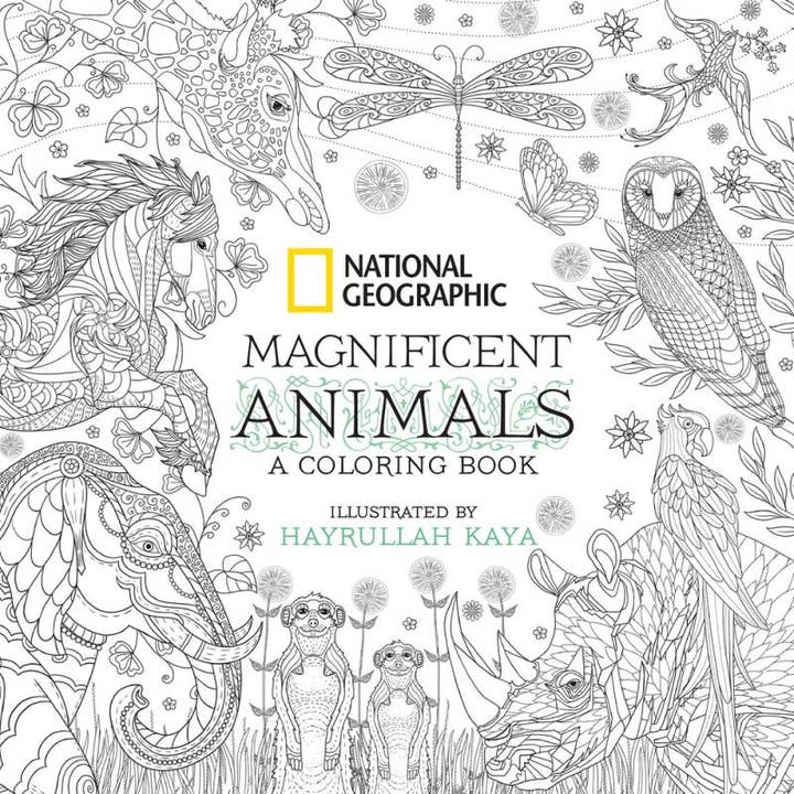 National Geographic: Magnificaent Animals: A Coloring Book for wholesale by Microcosm Publishing & Distribution