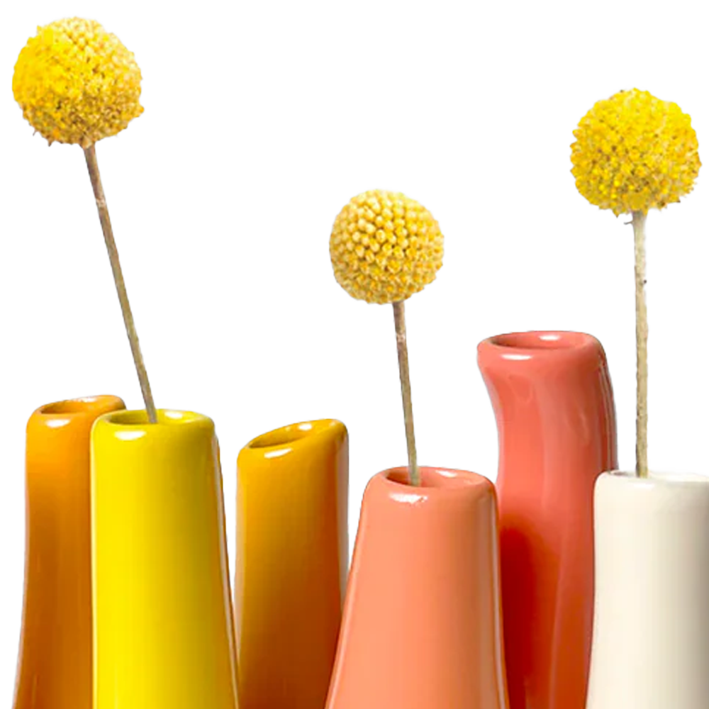 Chive - Wholesale Vase - Pooley Colorful Bud Vase For Flower Arranging Rectangular58