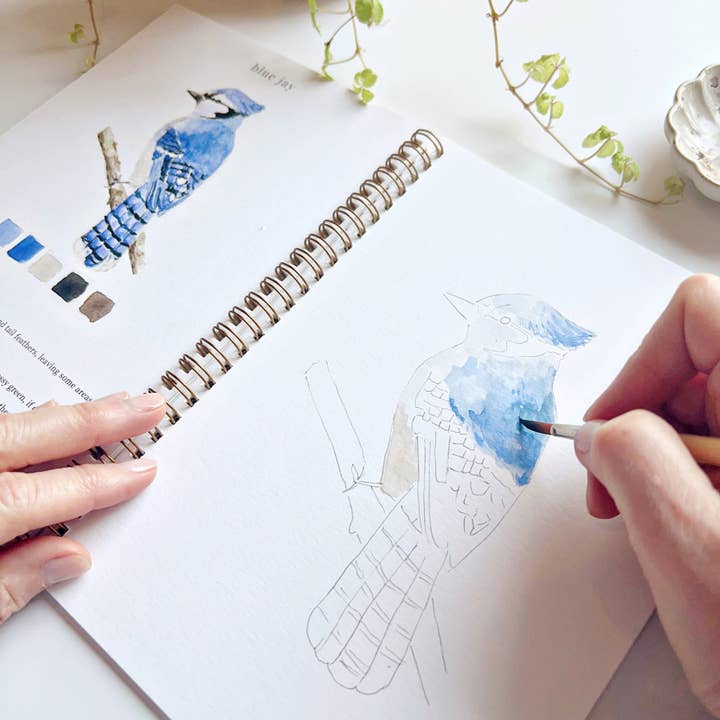 emily lex studio - Wholesale Sketchbook/Sketchpad - birds watercolor workbook