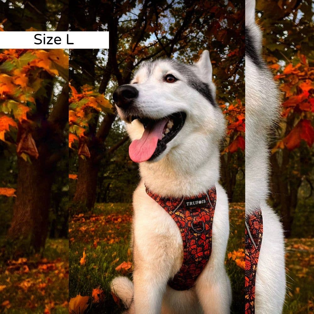 Trufois - Vente Harnais – chien - Harnais Sisu - Chute et Vol3