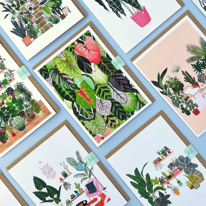 Lara Oztekin Designs – wholesale Vardagliga hälsningskort – Calathea bön växt & Caladium lämnar målning kort