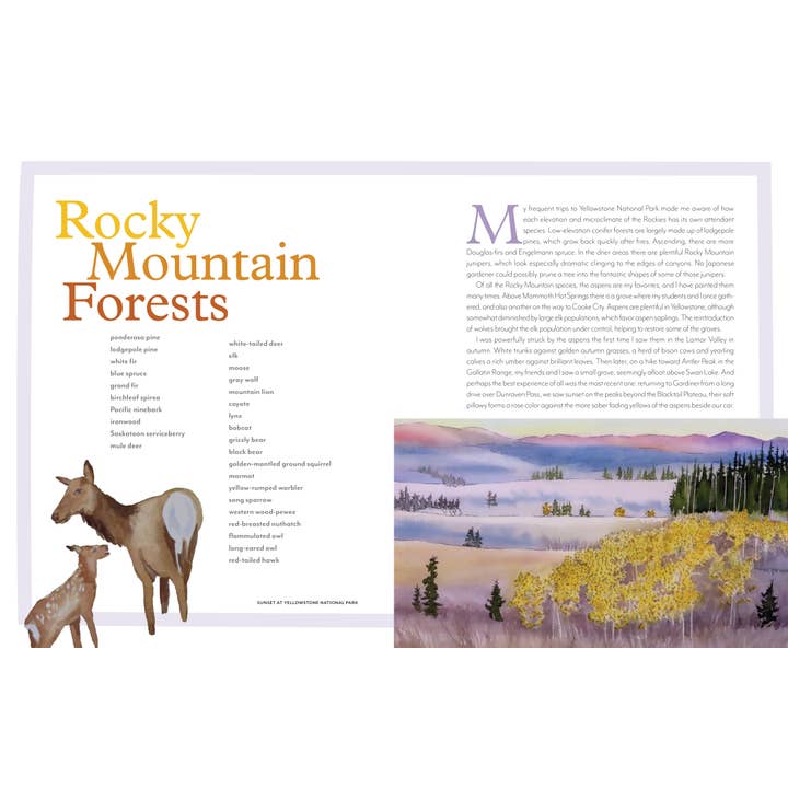 Mountaineers Books - Wholesale Nature & Outdoors - Trees of the West: An Artist's Guide6