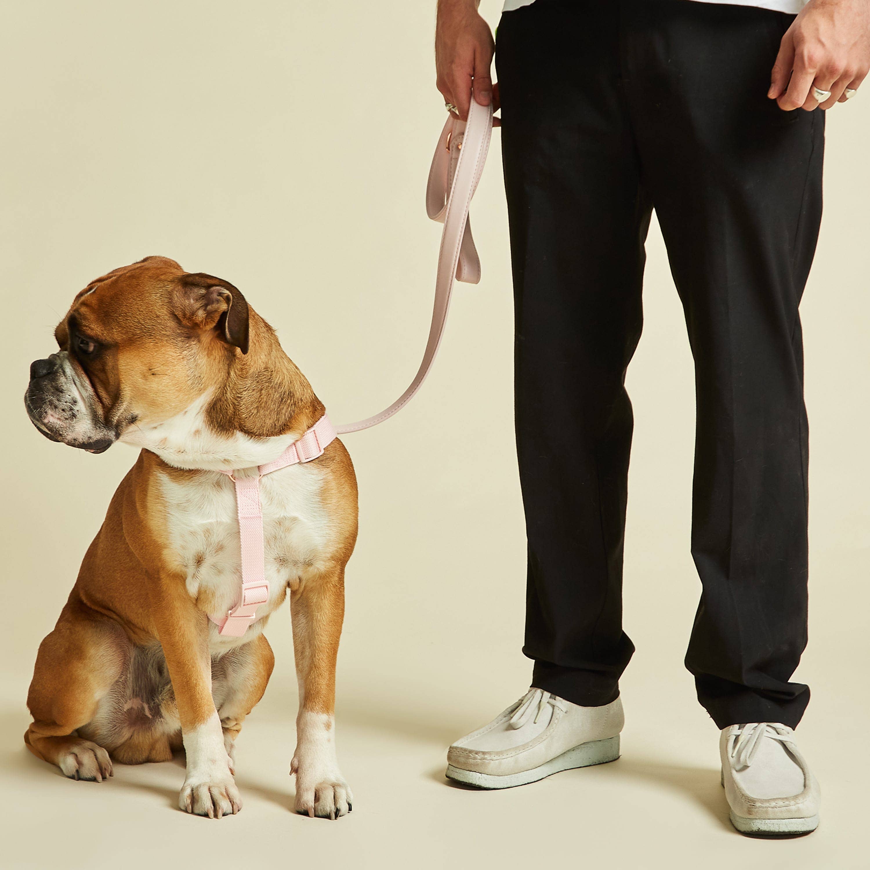 Barc London - Wholesale Pet Harness - Dog - Pink Dog Harness | Step in Harness | Y Shaped Harness6