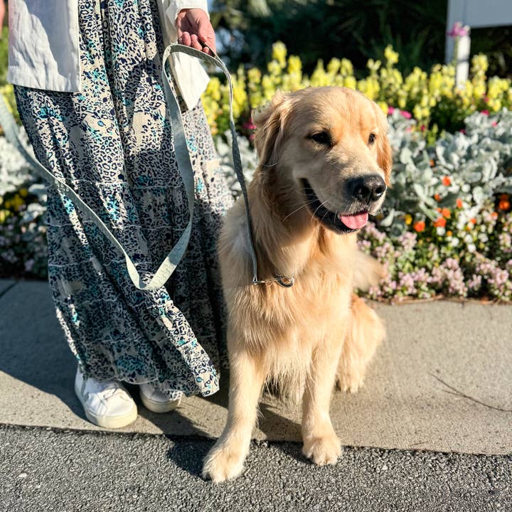 Carolina Pet Company - Wholesale Pet Collar - Dog - Checkered Wave Dog Collar16