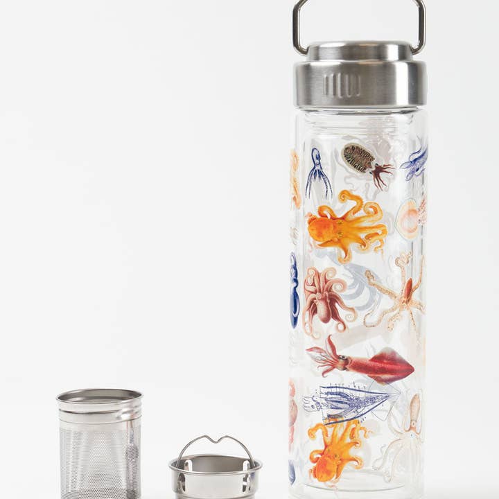 Cognitive Surplus – Engroshandel Tesi – Blæksprutte & Blæksprutte Te Infuser (Kasse med 4)