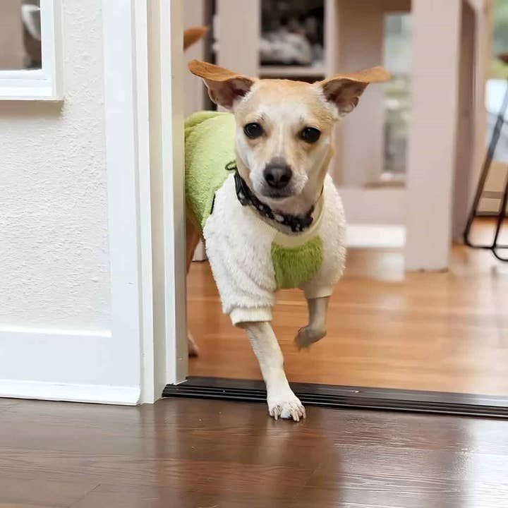 Fitwarm – Engroshandel Sweater - Hund – 2 stk Fleecetrøje