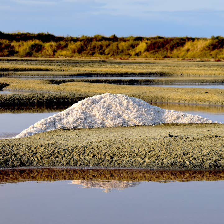 Artisans du sel - Wholesale Salt - Fine Guérande Salt bag 500gr4