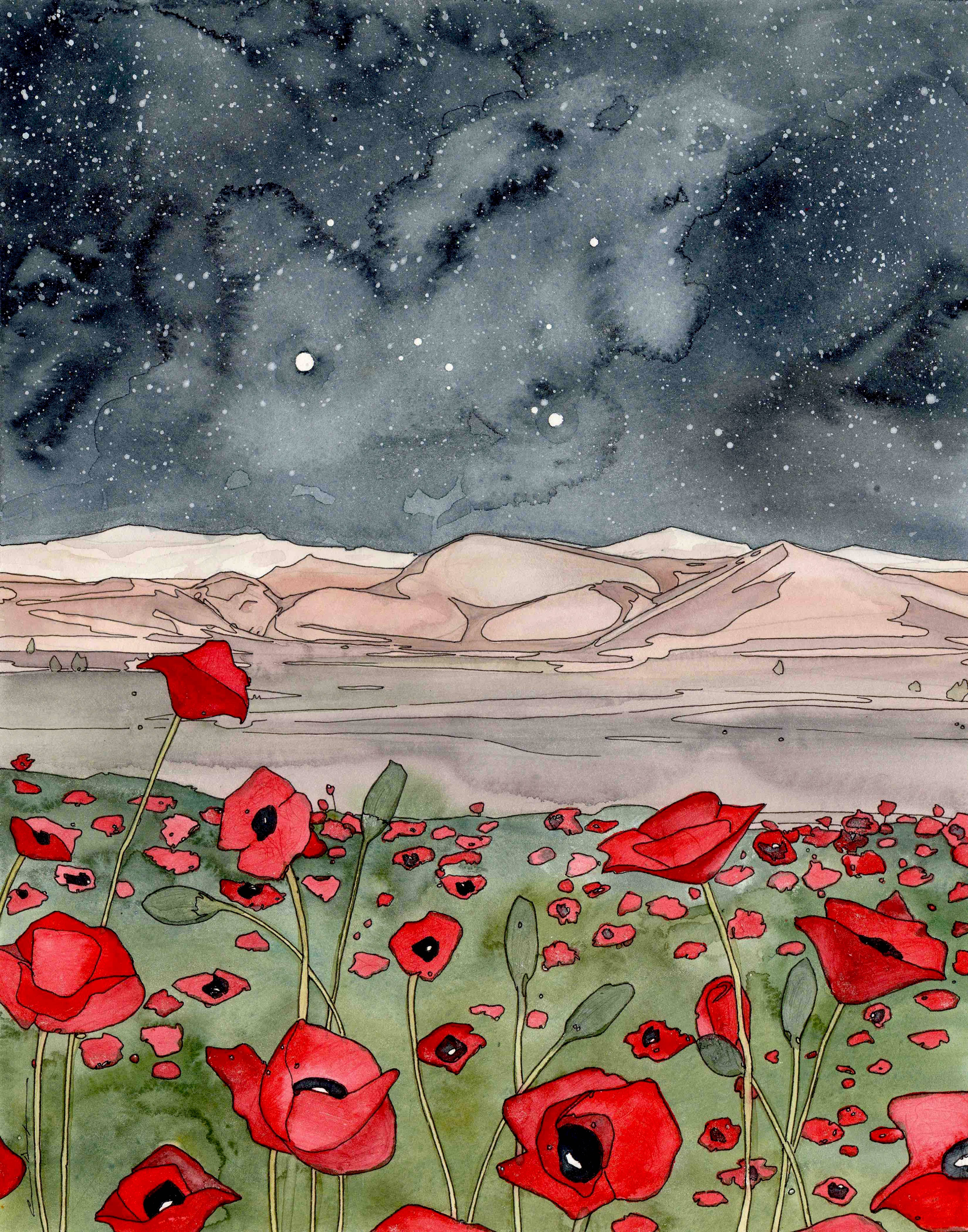 Andrea Durfee Art – Engroshandel Kunsttryk – Midnat blandt valmuerne Kunsttryk2