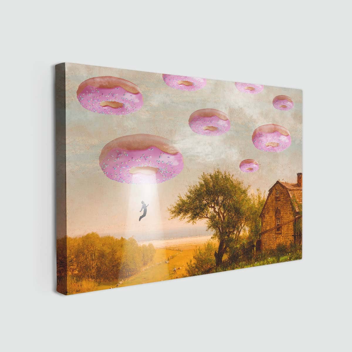 Dikhotomy - Wholesale Art Print - Lienzo impreso de invasión de donuts0