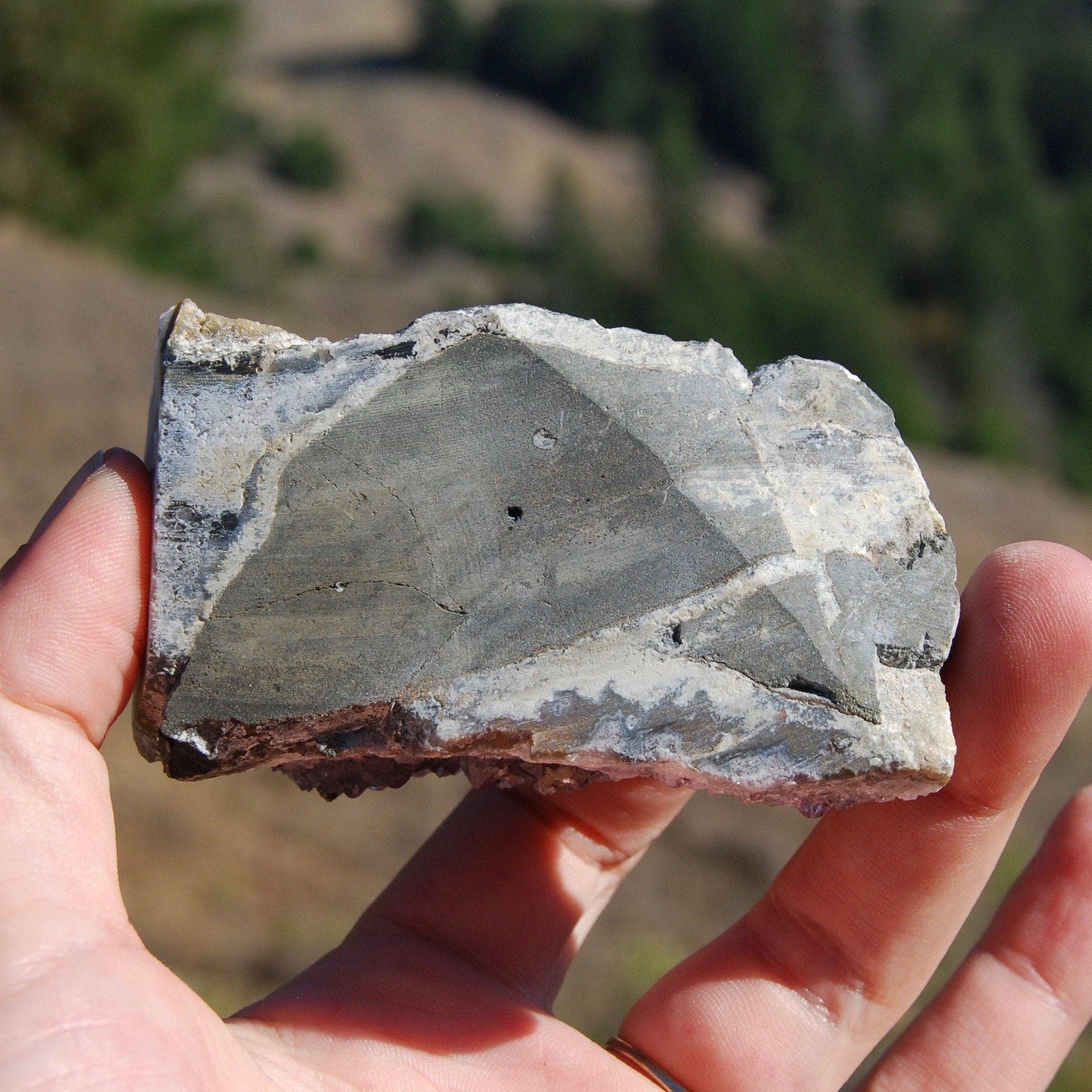 Caspar Curiosities - Wholesale Spirituele steen/kristal - 3,25 inch 216g Amethist Kristal Stalactiet Schijf, Uruguay6