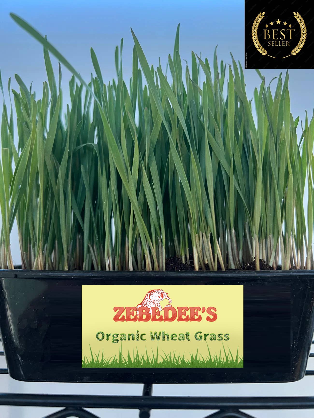 Zebedee's Pet Products – wholesale Pet food – Cat – Zebedee's Organic Cat Grass Kit1