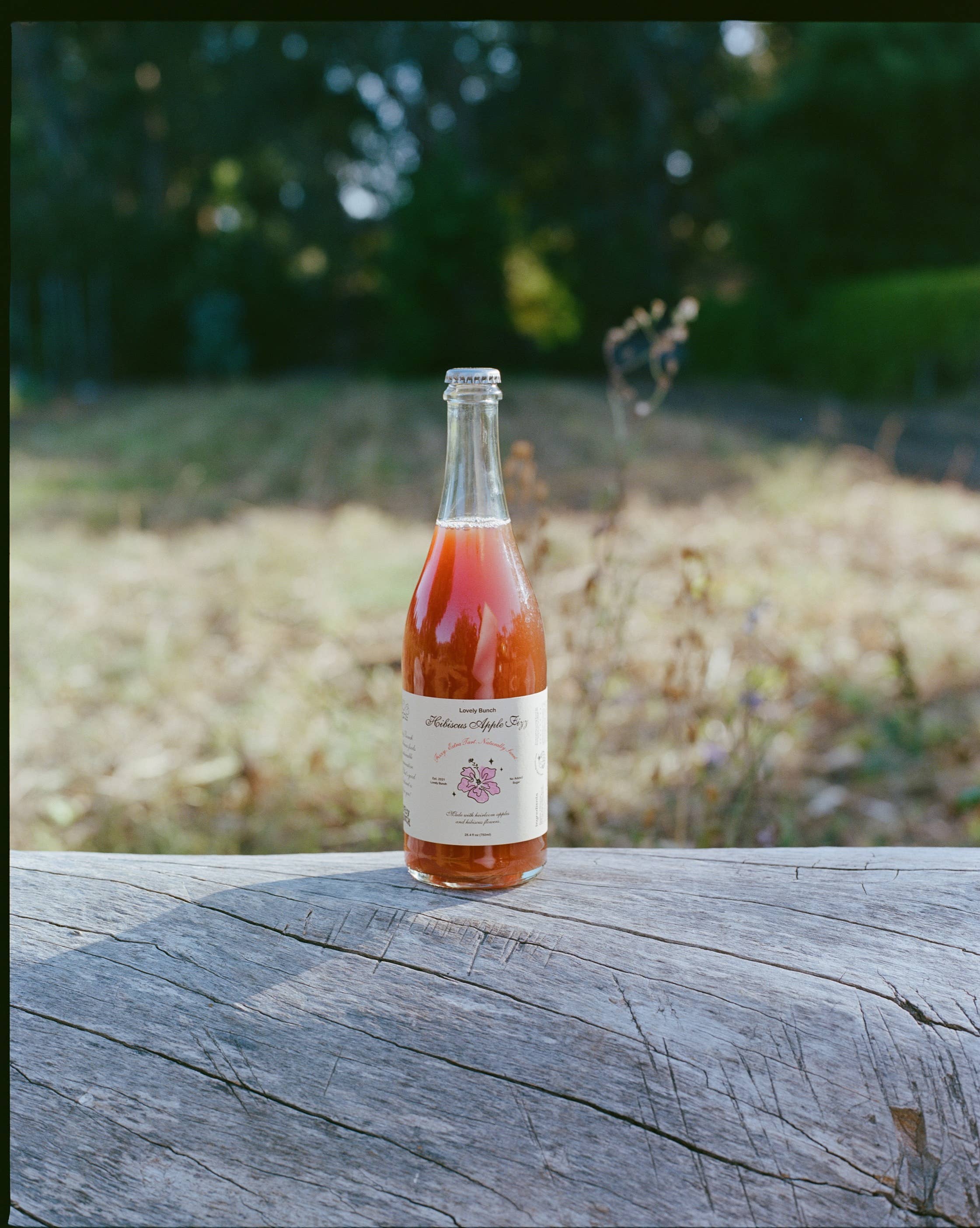 Lovely Bunch - Wholesale Soda/Carbonated Drink - Hibiscus Apple Fizz 750ml Bottle1