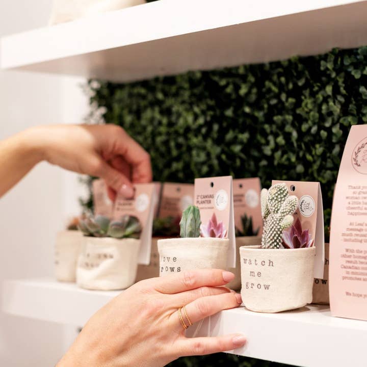 Leaf and Root Co. - Wholesale Plant pot - love grows here 2" Canvas Plant Pot Cover3