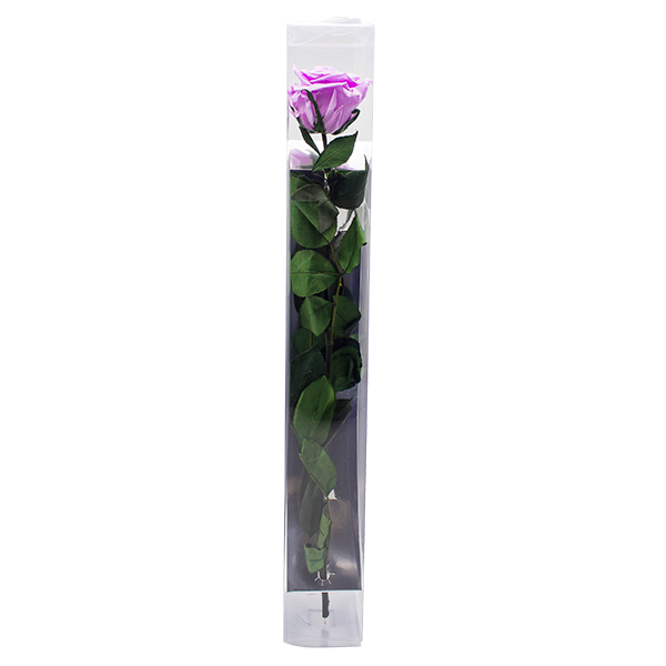 Concari.flores Preservadas - Wholesale Artificial Flowers - ROSE WITH PRESERVED STEM4
