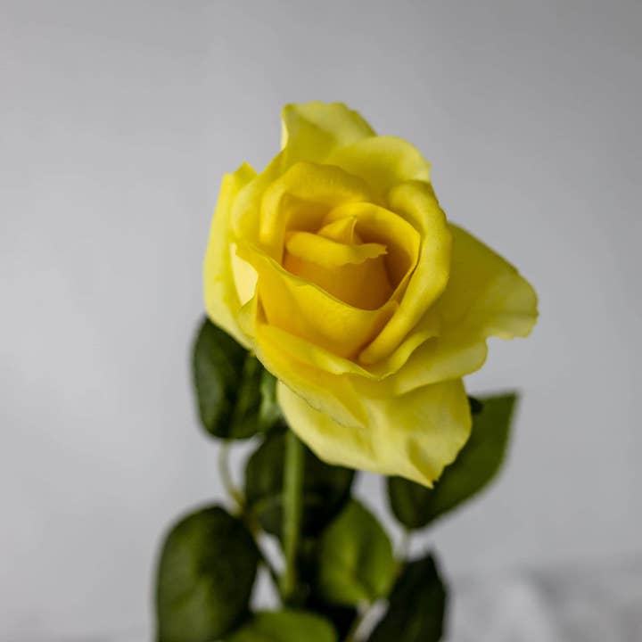 Realistic Artificial Flowers - Wholesale Artificial flowers - Yellow Real Touch Open Bloom Rose - Realistic Artificial Flowers2