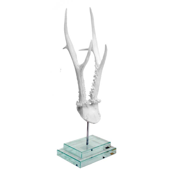 Modern World by Contrast Inc. - Wholesale Decorative Tabletop Object - White Antler on Double Glass Base