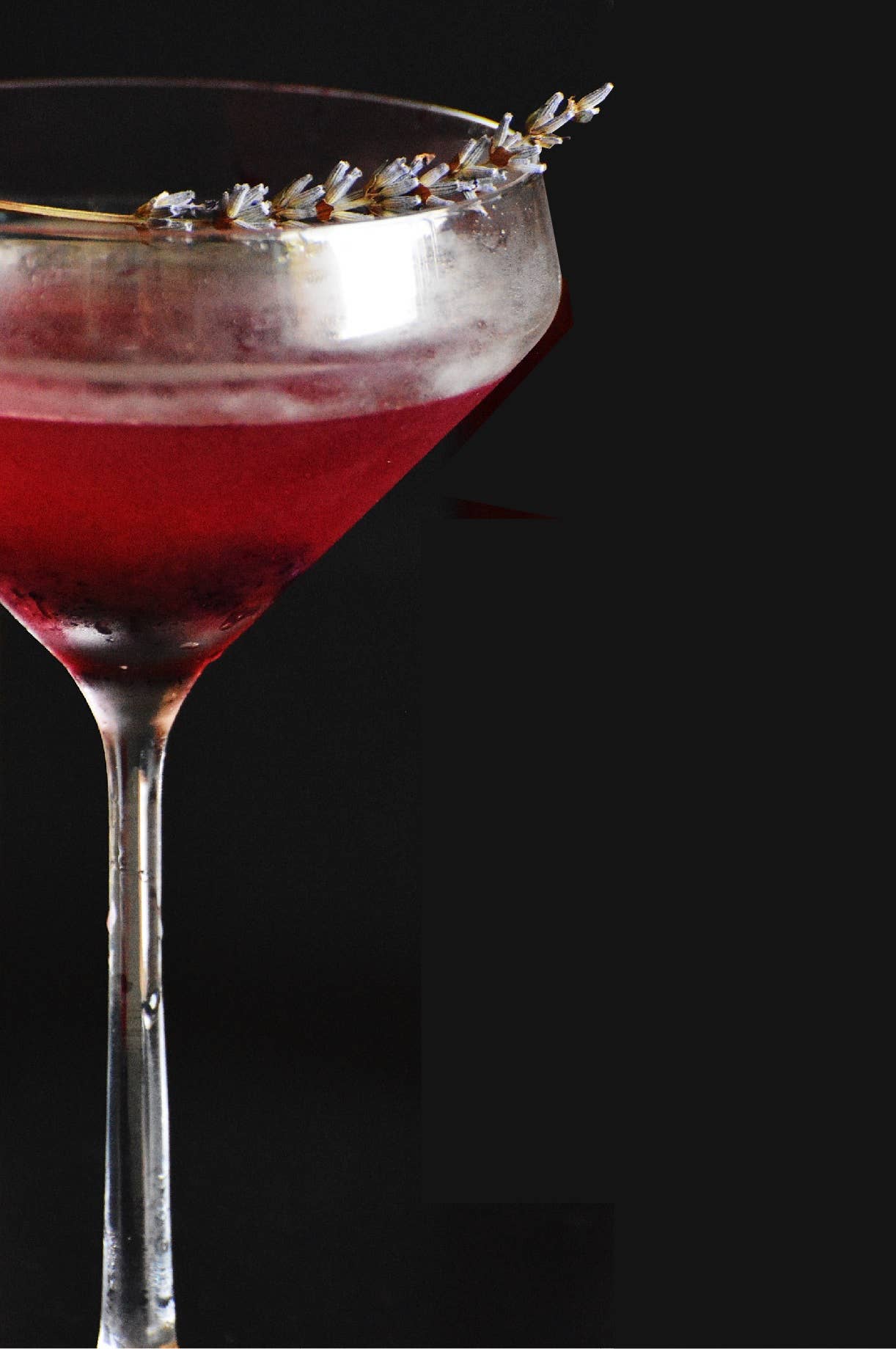 Cellar Door Preserves - Wholesale Cocktail Mix/Syrup - Cocktail Blueberries2