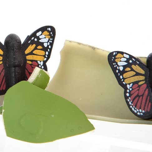 Boxer Gifts EU - Wholesale Toy Set - Kids - Hatch a Butterfly Toy - Childrens Stocking Fillers3