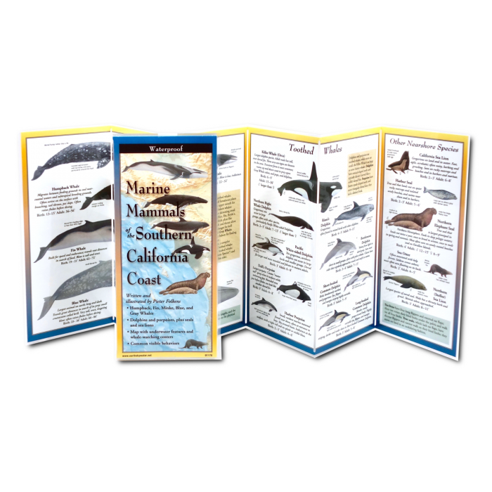 Earth Sky + Water - Wholesale Nature & Outdoors Book - Marine Mammals of Southern California1