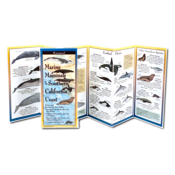 Earth Sky + Water - Wholesale Nature & Outdoors Book - Marine Mammals of Southern California1