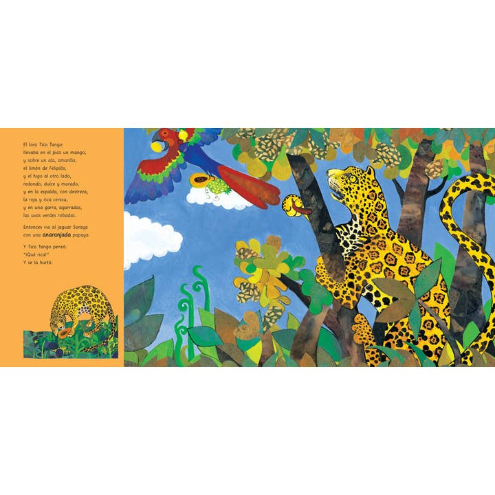 Barefoot Books - Wholesale Preschool Book (3-5) - El loro Tico Tango2
