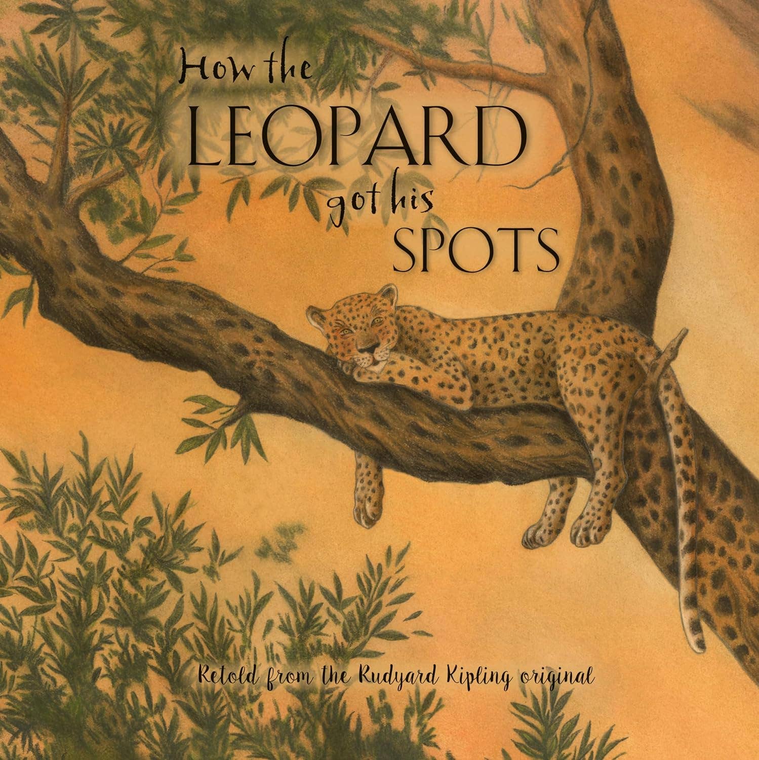 Robert Frederick Ltd - Wholesale Preschool Book (3-5) - How The Leopard Got His Spots - Children’s Picture Book0