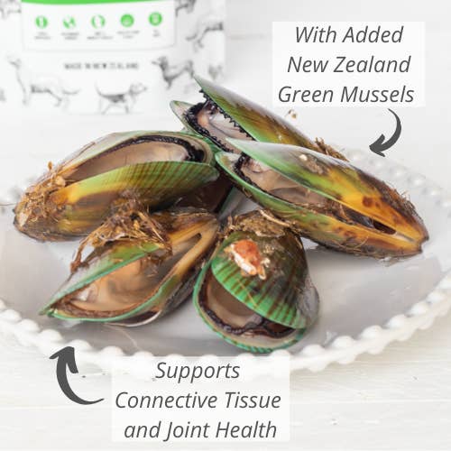 The New Zealand Natural Pet Food Co - Wholesale Pet Treats - Dog - Woof NZ Green Mussel Treat 1.76oz3
