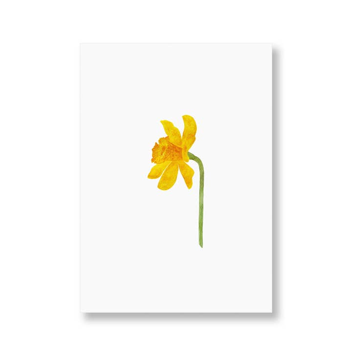 Narciso, narciso | Tarjeta postal para venta al por mayor de SANS.design