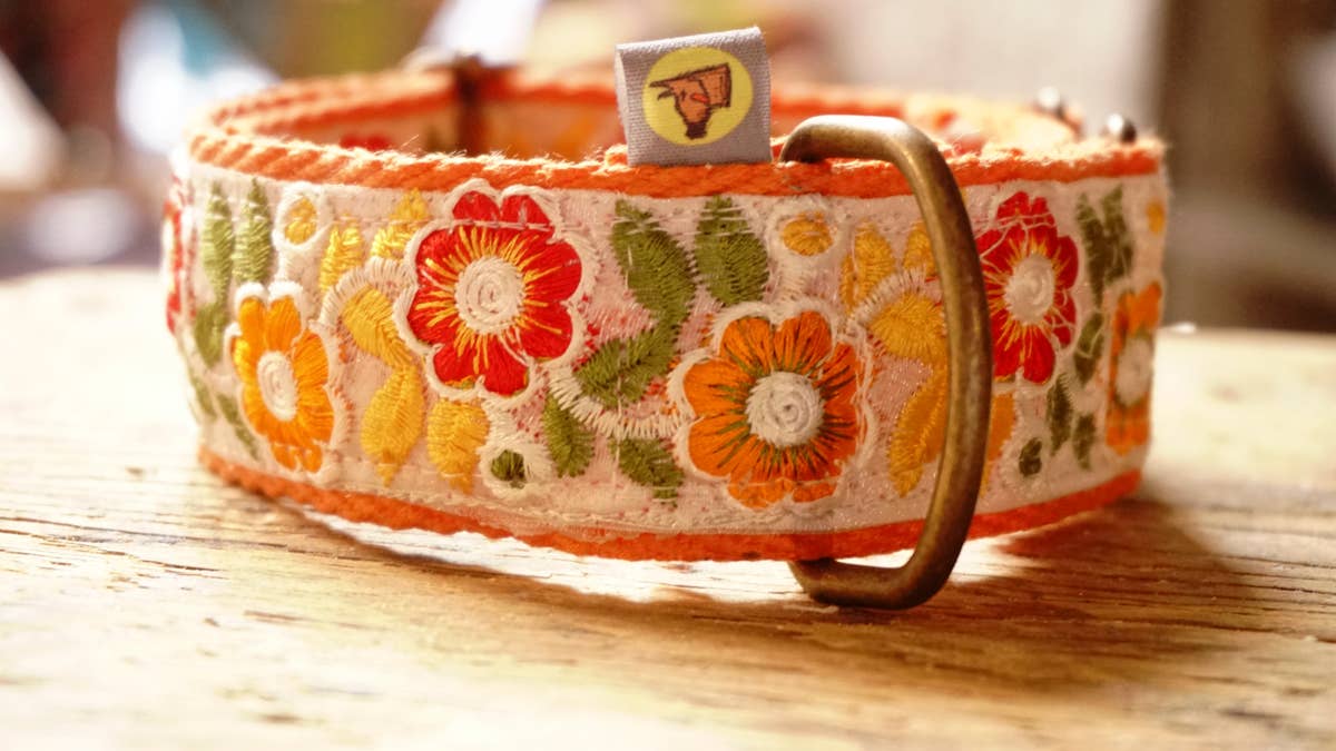 hundsfutter - Wholesale Pet Collar - Dog - Individual orange necklace with floral design.8