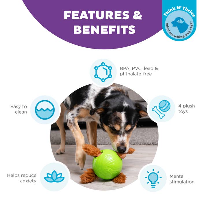 Pet Palette Distribution - Wholesale Pet Plush Toy - Dog - Nina Ottosson Snuffle N' Treat Ball TNT Dog Puzzle Toy Green