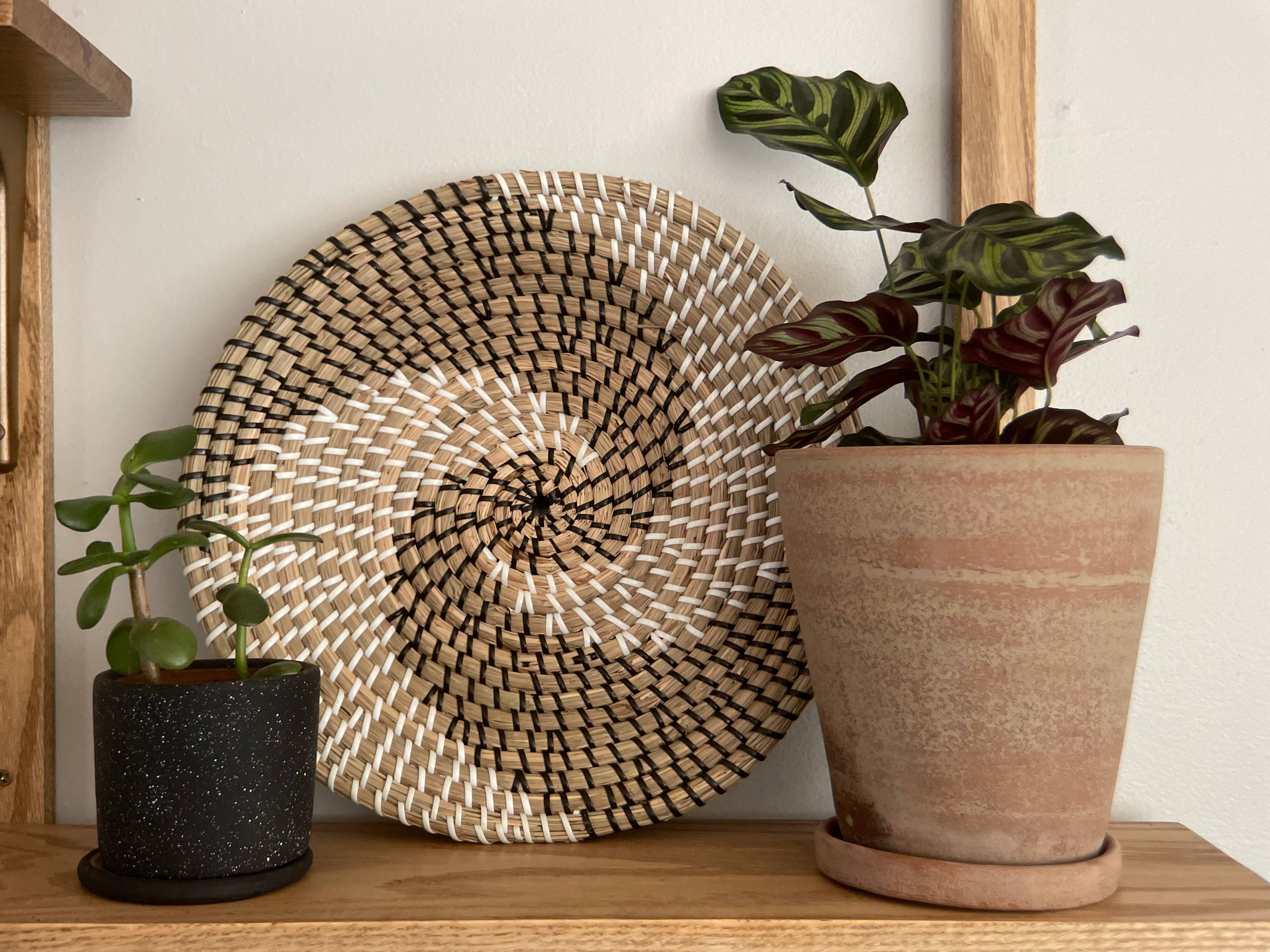 Women of the Cloud Forest - Wholesale Plant Pot - Small Ceramic Planter6