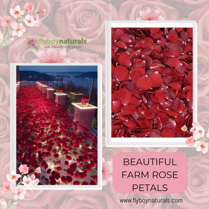 Flyboy Naturals Rose Petals - Wholesale Dried/pressed flowers - Romantic Red Rose Petals – 30 Cups Real • Freeze-Dried • USA10