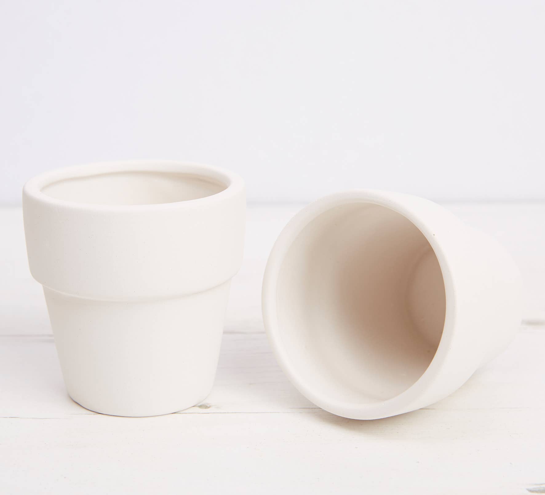 West Design Products – Pintura/desenho por atacado – RHS Paint Your Own Set, Branco, Kit de Artesanato, Janela para Jardim8