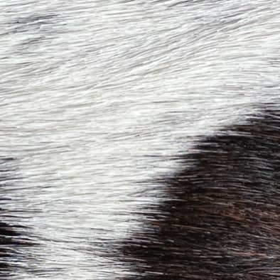 Wemi home - Wholesale Accent/Desk Lamp - LAUSANNE pony3