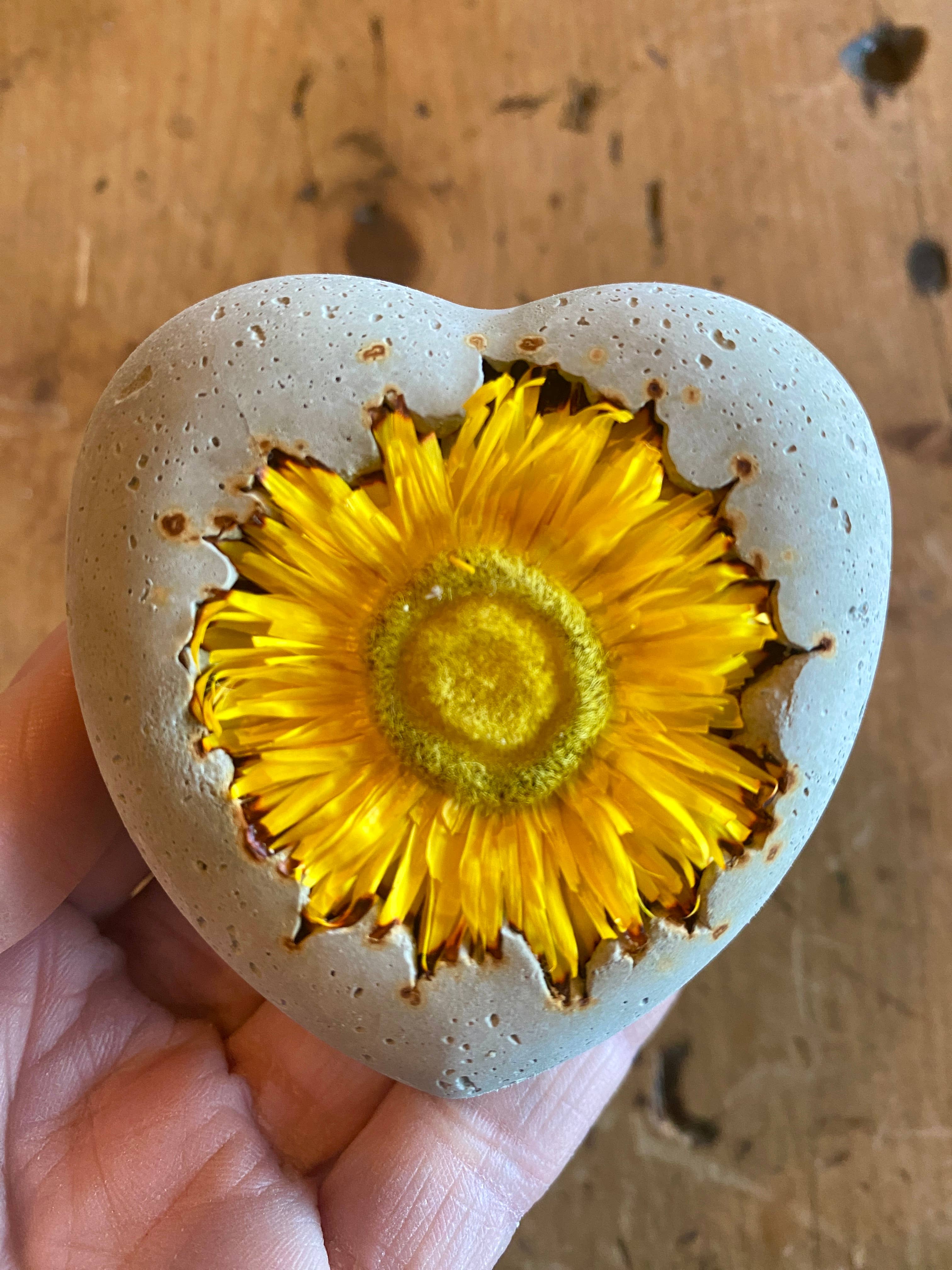 Sea + Green - Wholesale Paper Weight - Concrete Dried Flower Heart Love Valentines Day Wedding4