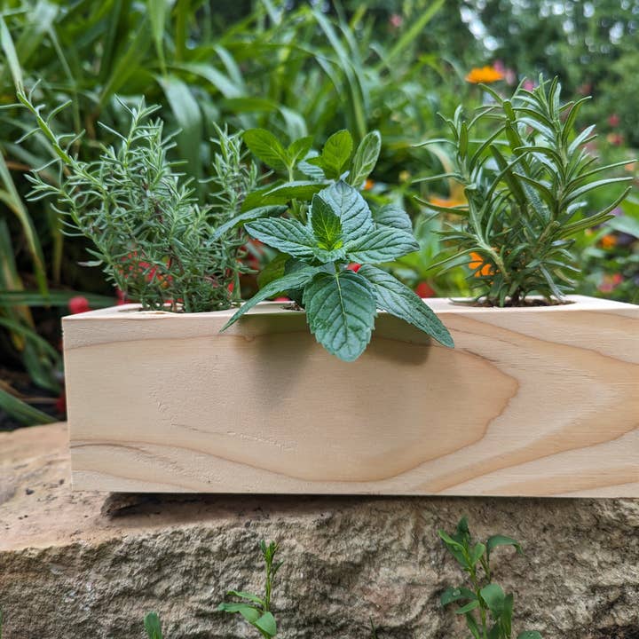 Sprigbox - Wholesale DIY Craft Kit - Cocktail Mixers Starter Kit | Grow Lavender, Mint, Rosemary8