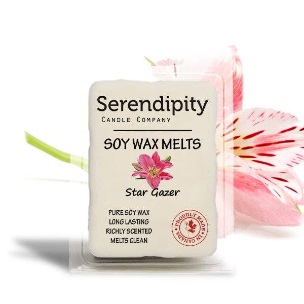 Serendipity Soy Candles - Vente Bougie en bocal - Gazer Étoiles1