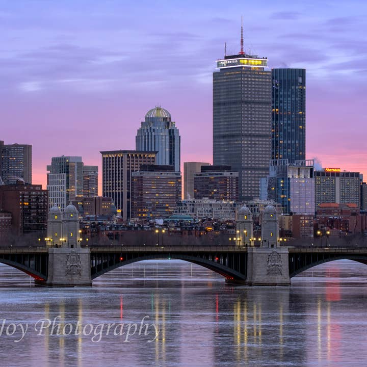 Pastel Boston for wholesale by Erica Joy Photography