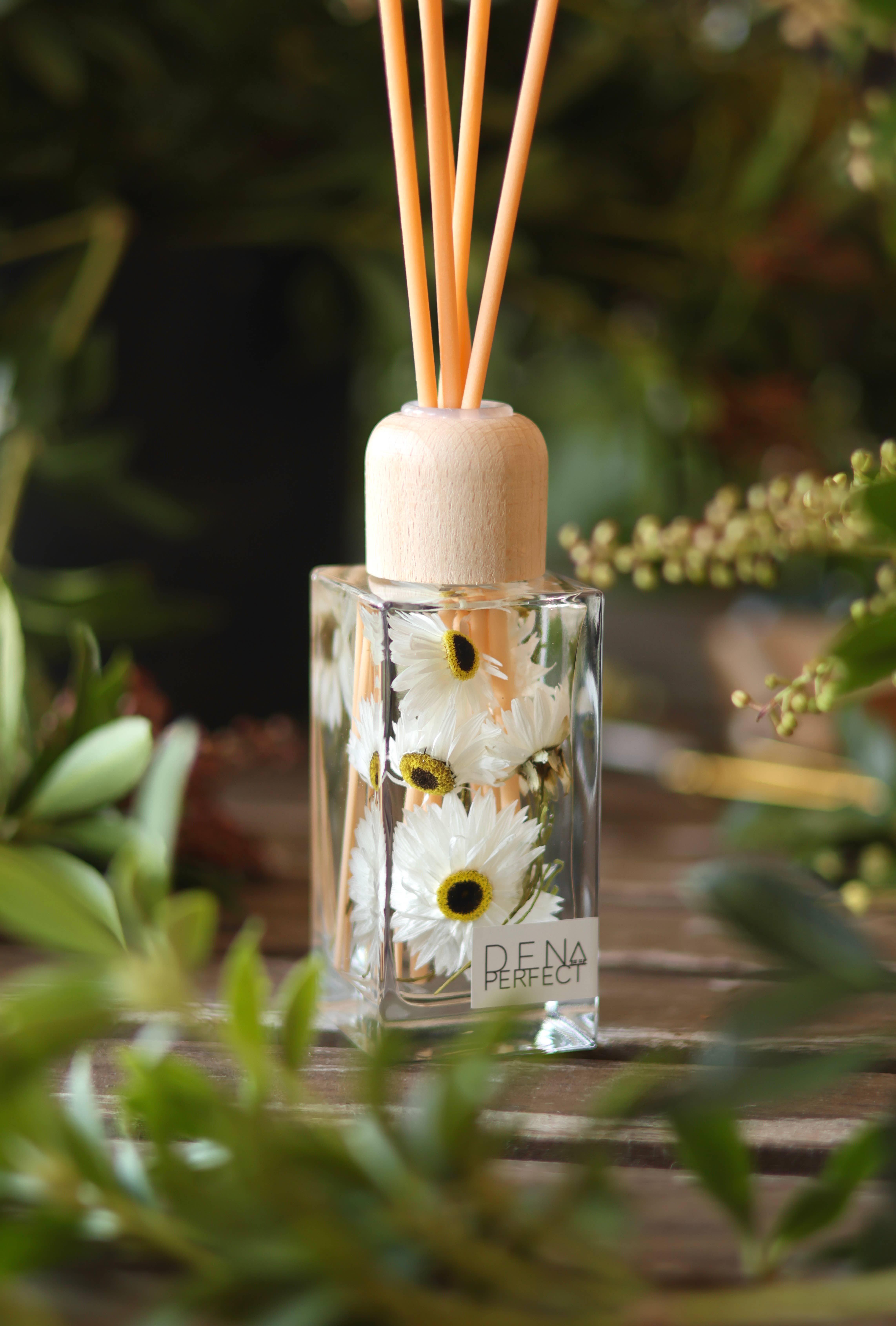 Den Perfect – Großhandel Reed-Diffusor – Daisy Botanical Reed Diffuser von Den Perfect