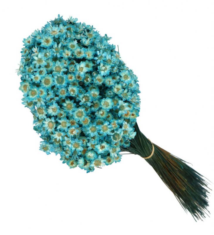 .AVPV. Studio - Wholesale Artificial Flowers - Glixia mini star flowers12