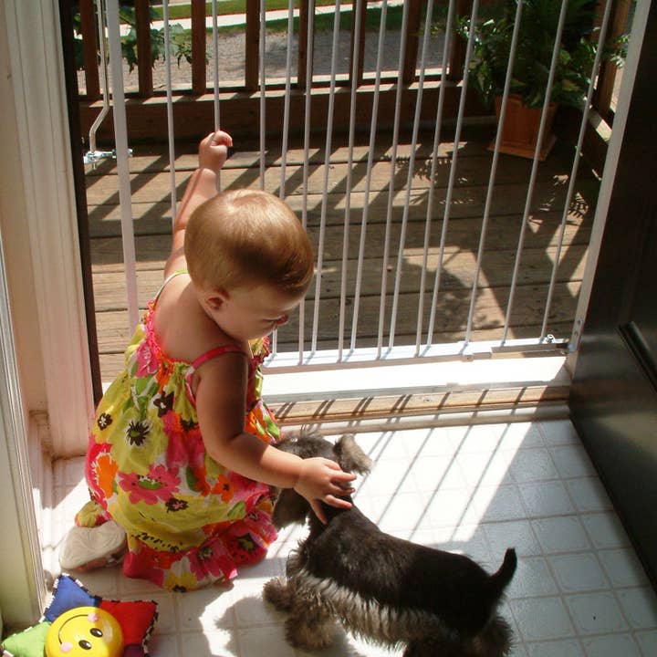 Cardinal Gates, Inc. - Wholesale Pet Folding Gate - Dog - Cardinal Gates Duragate Pet Gate (Model MG-25)10