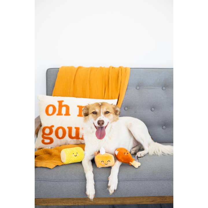 Pearhead - Wholesale Pet Plush Toy - Dog - Thanksgiving Dinner Fall Dog Toys, Set of 3