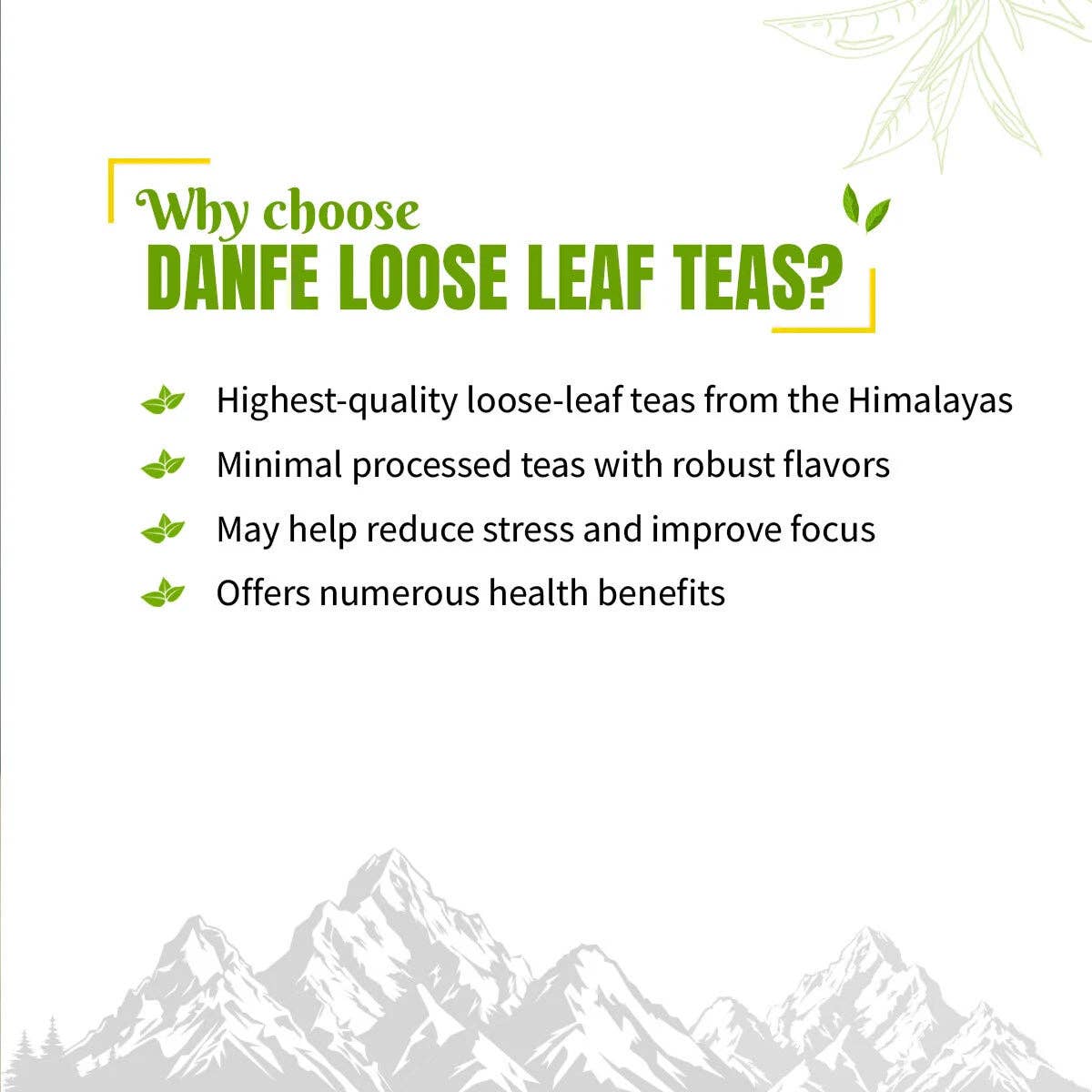 Danfe Tea - Vente Thé en vrac - 11° Mt. Pumori Meilleur Thé Vert (Certifié Bio)9