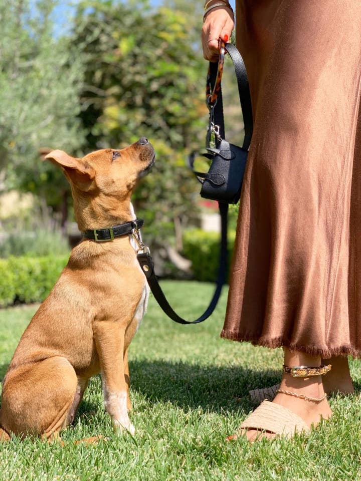 Laisse pour chien Susan en toile résistante aux rayures en cuir végétalien pour la vente par Shaya Pets