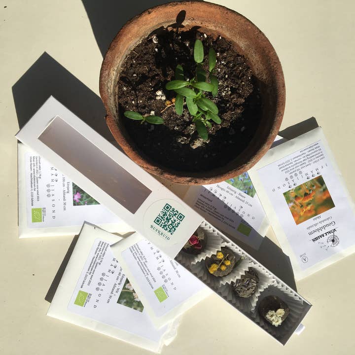 BUSKRUID - Wholesale Plant Seeds - Zaadbombons2